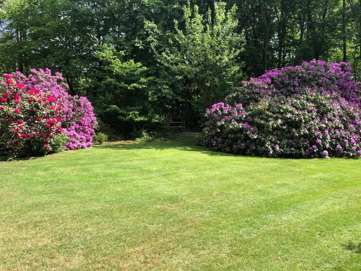 Ferienwohnung Lands Huys Dersum Buitenkant foto