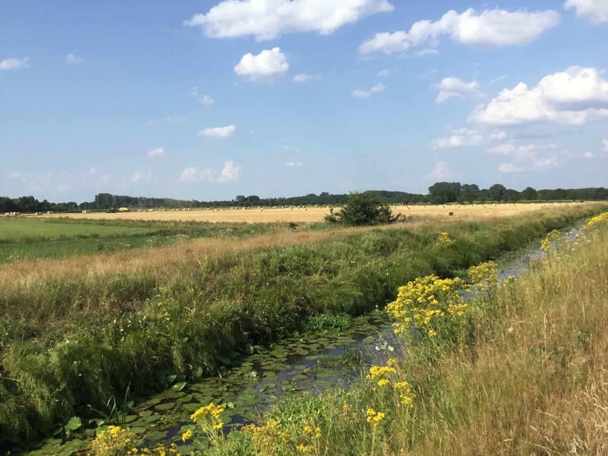 Ferienwohnung Lands Huys Dersum Buitenkant foto